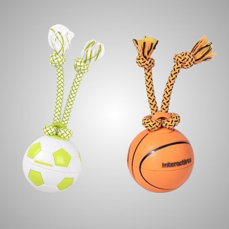 Pet electric Ball Toy